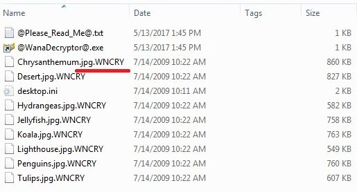 WannaCryRansomwareEncrypted_files